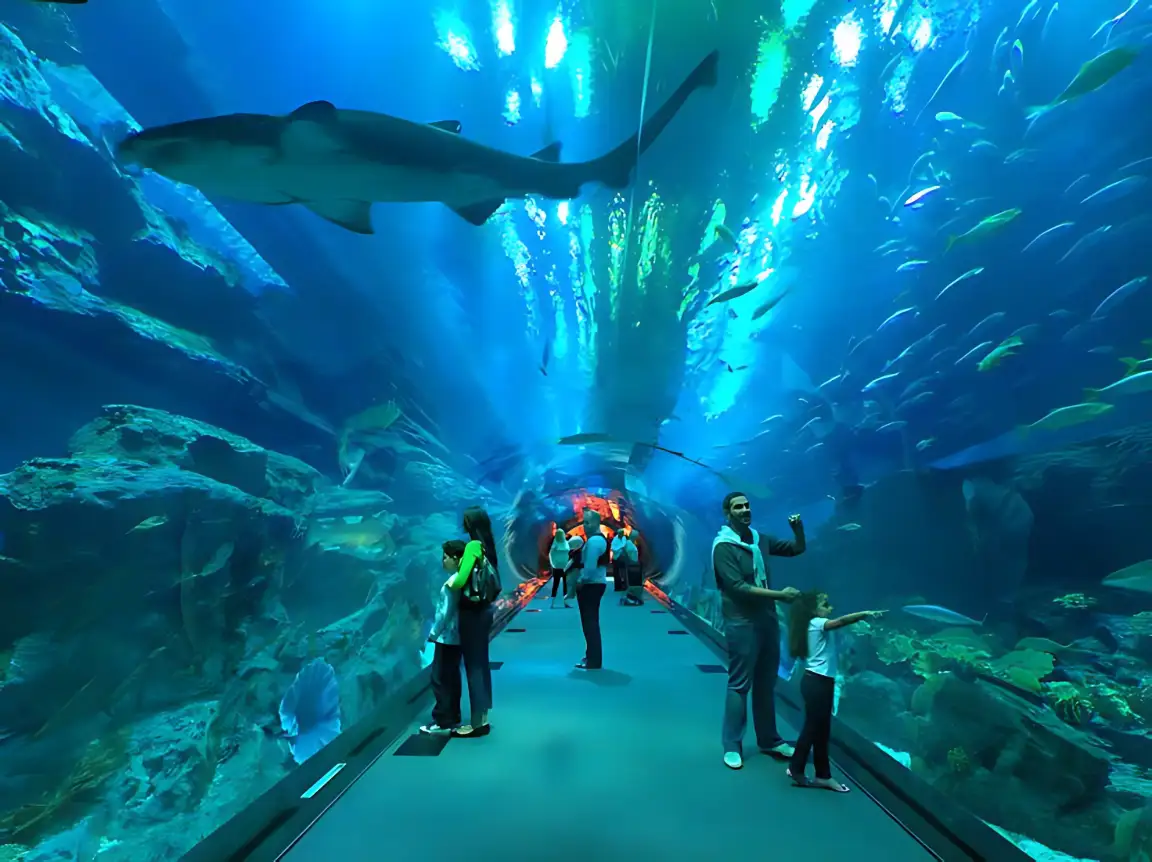 Sharks swimming above visitors inside the Dubai Aquarium underwater tunnel