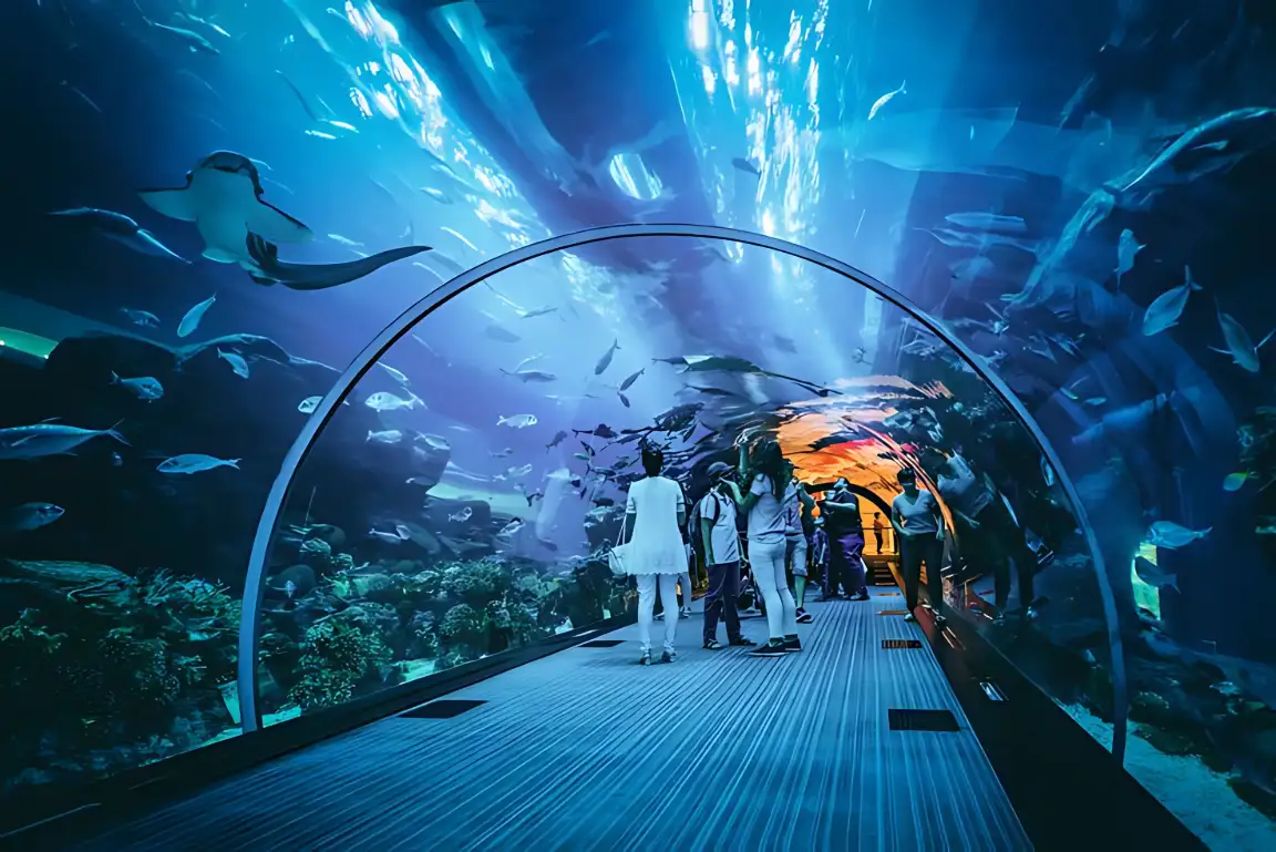 Visitors walking through the underwater tunnel at Dubai Aquarium